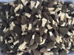 A market lot of dried Gucchi morel mushrooms