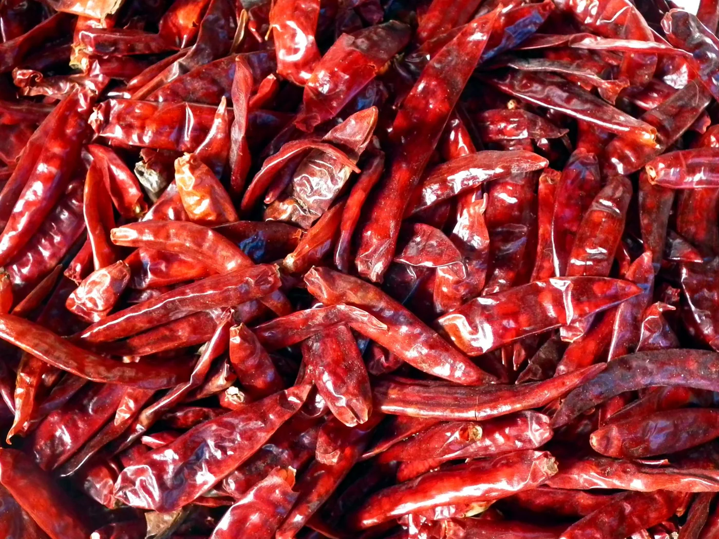 A representative lot of whole dried red chillies