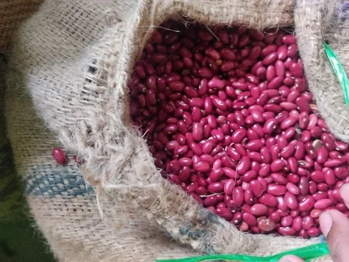 Red Pahari Rajmah in a jute sack