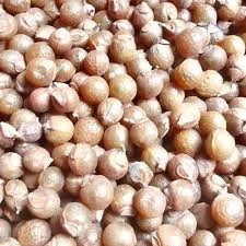 Pale soapnut seeds and shells
