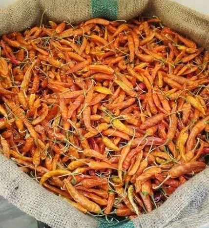 Dried yellow chillies in a jute sack supplied by S.K. Traders